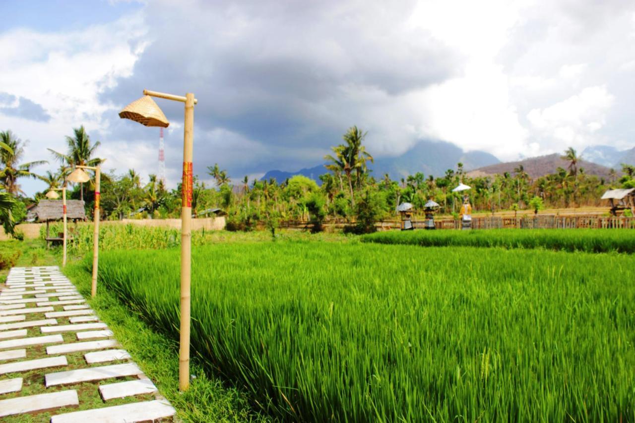 ホテル Umma Bali Menjangan Retreat バニュウェダン エクステリア 写真